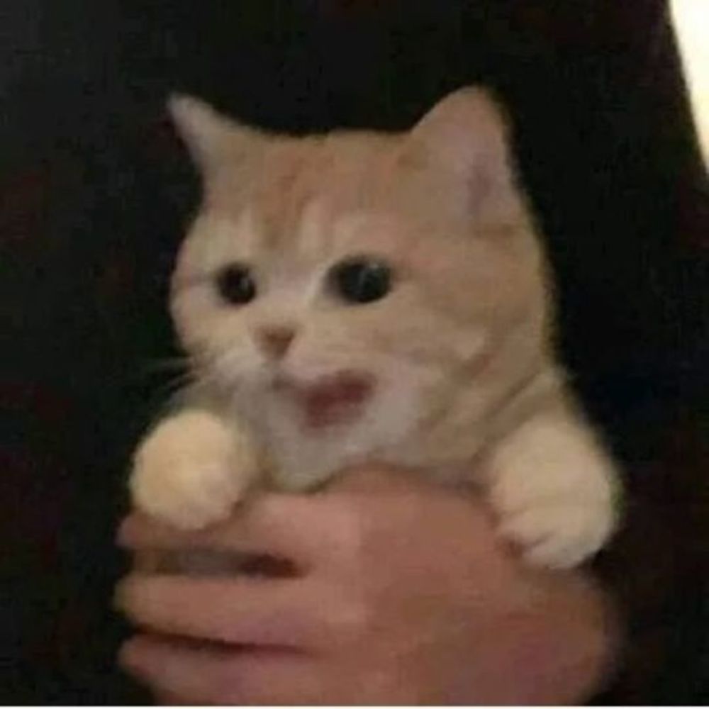 Meet your Posher, Ari